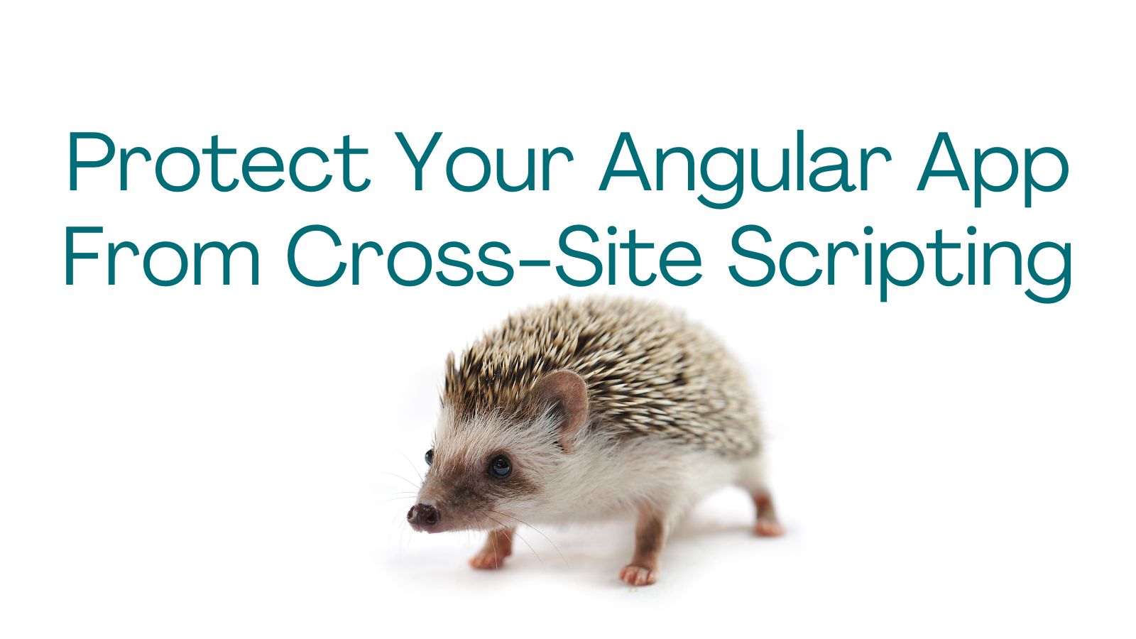 Protect Your Angular App From Cross-Site Scripting