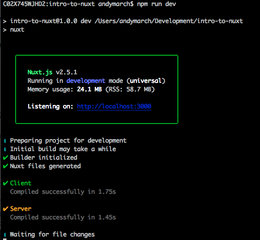 Nuxt running dev server