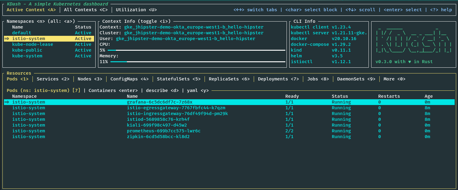 GKE Cluster with Istio pods