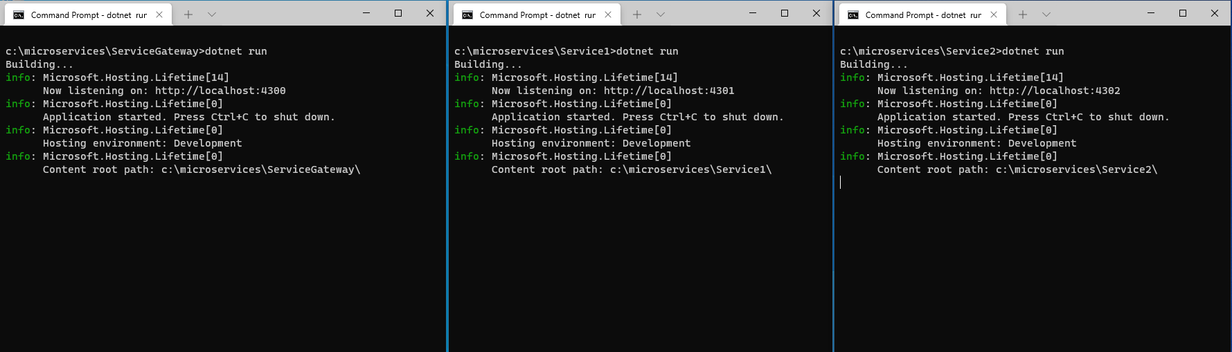 Three terminals running .NET projects