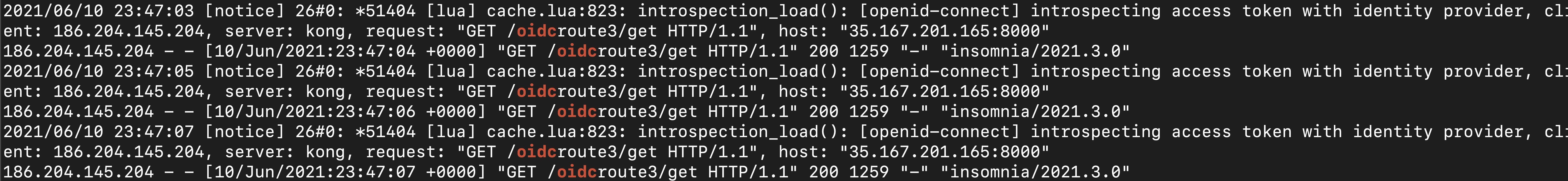 blog/introspection-flow-kong-konnect/terminal-introspecting-log.png
