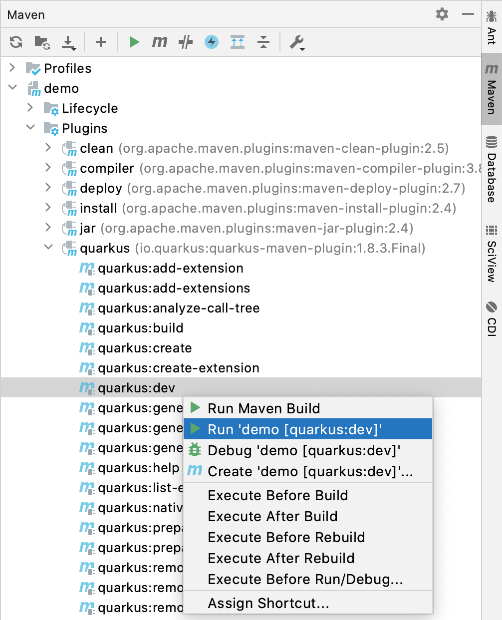 Create a Quarkus Run Configuration