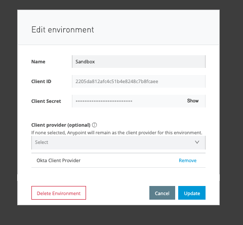 Mulesoft edit environment