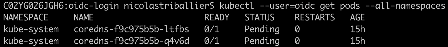 Terminal - Kubectl Get Pods