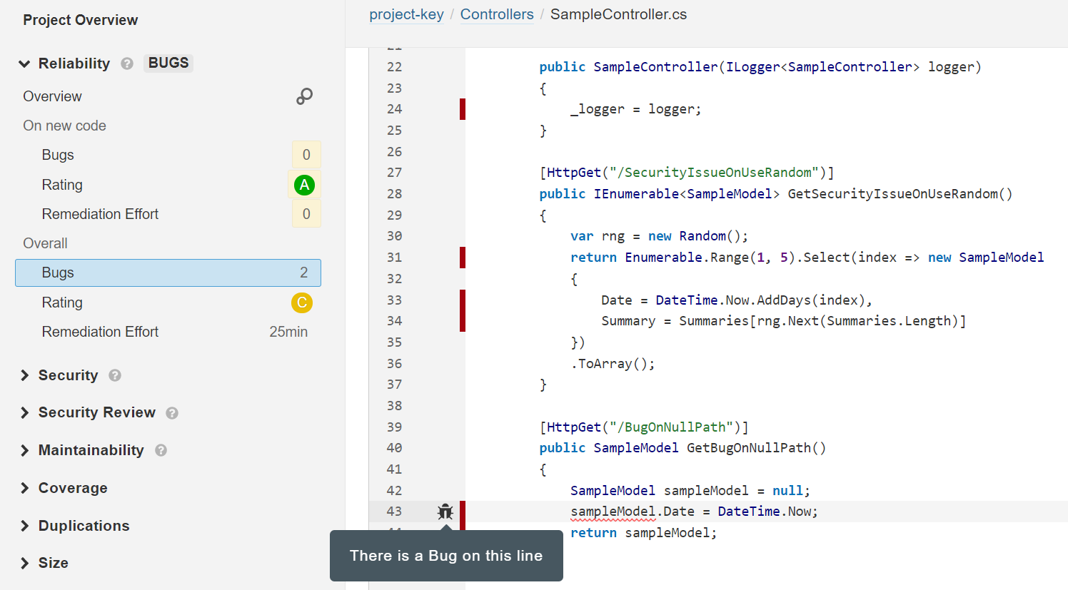 Screenshot of bug pointed by SonarQube